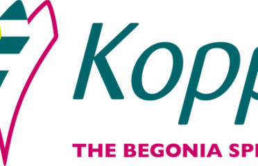 Koppe The Begonia Specialist