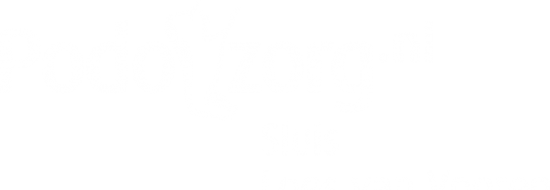 Podozorg Sluis